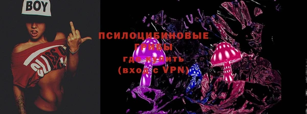 соль ск Алексин