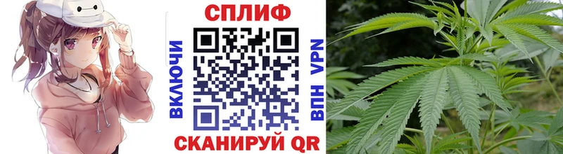 Конопля семена  Дедовск 